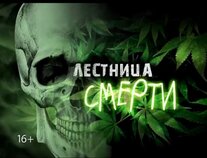 Изображения.